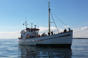 Turfiskebåten Tärnö